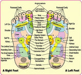 Detox Foot Pads